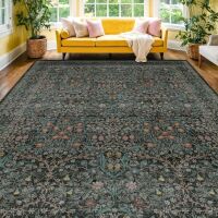 Washable Area Rug, 8 x 10