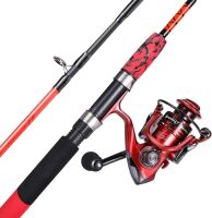 Spinning Reel and 2-Piece Fishing Rod Combo