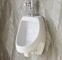 Hanikes 1.0 GPF Urinal with Siphon Jet Flush Action in White