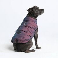 Spark Paws Dog Winter Jacket Medium and Large Dogs, Cosmic, 3XL