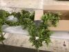 Lot of (2) 5' Garland - 2