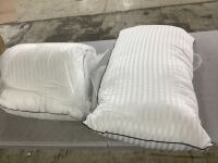 Soft Down Alternative Pillows, 2 Pack