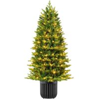 6' Pre-Lit Potted Christmas Tree w/Twinkling White & Multi LEDs