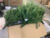 6' Pre-Lit Potted Christmas Tree w/Twinkling White & Multi LEDs - 2