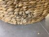 Scalloped 3PC Water Hyacinth Nesting Baskets - 1 Damaged - 3