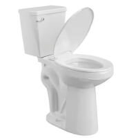 Simple Project 21 in. 2-Piece Toilet Single Flush 1.28 GPF Round 12 in. Rough In Height Toilet in White