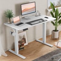 Electric Standing Desk 40 Inch & Adjustable Height, 4 Memory Presets，Quiet Dual Motor for Office, Bedroom