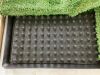 Dog Grass Pad with Tray - 2