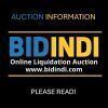 AUCTION INFORMATION - PLEASE READ!