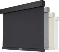 Blackout Window Shades for Home, Cordless Roller Shades with Valance, Thermal Insulated Fabric Window Blinds, UV Protection Blinds for Indoor Windows, Office and Bedroom
