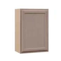 Hampton Bay Recessed Panel 21 in. W x 12 in. D x 30 in. H Assembled Wall Cabinet in Unfinished