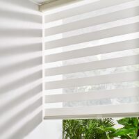 Zebra Blinds for Windows, Cordless Roller Shades for Windows Room Darkening Roller Blinds