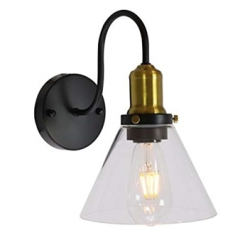 Lucidce Black Gooseneck Wall Sconce w/ Clear Glass Shade