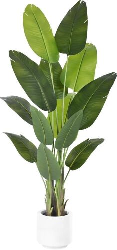 6' Artificial Bird of Paradise Plant