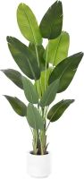 6' Artificial Bird of Paradise Plant