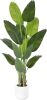 6' Artificial Bird of Paradise Plant