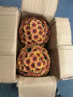 Sunflower Balls, Artificial, Set Of 2