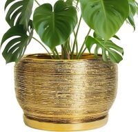 10" Ceramic Planter for Indoor Plants