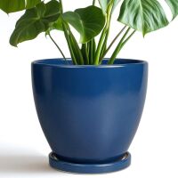 8" Ceramic Plant Pot with Drainage and Tray