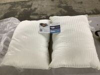 Beckham Hotel Collection Pillows, 2 pack
