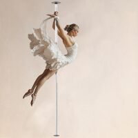 LUPIT POLE Classic G2 Standard Lock Portable Dance Pole, Spinning and Static Mode