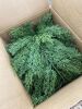 9' Pre-Lit Cedar Cypress Christmas Realistic Garland w/ Twinkling LEDs - 3