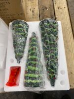 Set of 3 Pre-Lit Ceramic Tabletop Christmas Trees