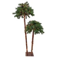 Northlight Lighted Artificial Tropical Palm Tree Duo, 6', Clear Lights - Works Partially, Broken Bulb