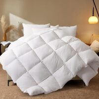 Queen Size Feather Comforter, Filled with Feather and Down Fiber, White All Season Duvet Insert - Luxurious Hotel Bed Comforter - 100% Cotton Cover, Medium Warmth with Corner Tabs