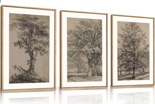 Vintage Tree Sketch Wall Art Set, Antique Tree Drawings Wall Decor, Nature Sketch Wall Painting, Framed Botanical Canvas Art Prints for Living Room, Bedroom, Dinning Room, Farmhouse