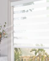 Blackout Cordless Zebra Blinds for Windows with Upgraded Cassette Free-Stop Dual Layers Sheer Roller Shades for Home and Office