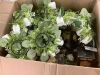 3" Rose Flower Wreaths with LED Candles, 12 pc - 4