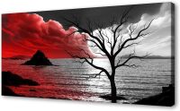 Canvas Wall Art, 40" x 20"