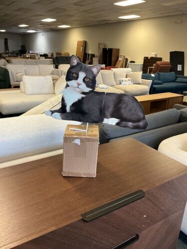 Solar Cat, Lot of 6