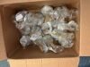 Doll Stand, Lot of 16 - 2