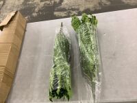 Artificial Ferns, 2 Pack
