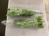 Artificial Ferns, 2 Pack - 2
