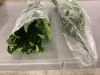 Artificial Ferns, 2 Pack - 3
