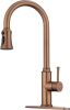 Single Handle High Arc Stainless Steel Kitchen Faucet with Pull Down Sprayer