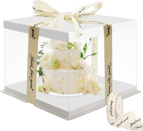 Cake Box, 10 Inch, Transparent, High with Lid and Ribbon