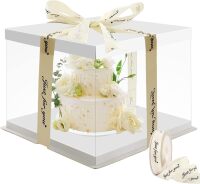Cake Box, 10 Inch, Transparent, High with Lid and Ribbon