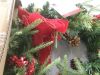 24" Pre-Lit Battery Powered Christmas Wreath w/ Lights, PVC Tips, Ribbon - 3
