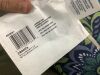 Lot of Matching Outdoor Cushions - 8