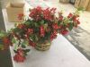 Nearly Natural Artificial Bougainvillea Hanging Basket - 3