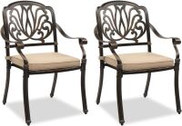 Cast Aluminum Patio Chairs, Set of 2