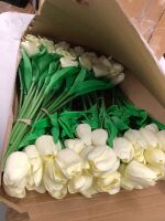 Case of Artificial Tulip Bouquets