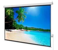 100 in. Electric Projection Screen