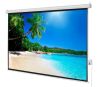 100 in. Electric Projection Screen
