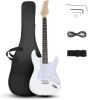 39 Inch Electric Guitar Solid Body Beginner Kit with Gig Bag