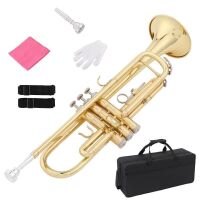 Beginner Standard Trumpet Set, Gold Lacquer Brass with Case